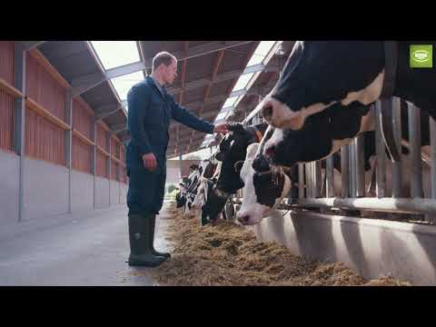 Vernestøvel, Bekina - 36