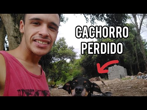 ECONTREI UM CACHORRINHO PERDIDO NA LAGOA 😱😱😱