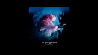 The Pineapple Thief - 09 - Reaching Out