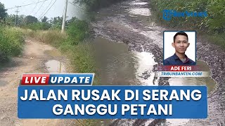 Penampakan Jalan Hancur 6,8 KM di Serang, Warga Minta Perbaikan gegara Ganggu Petani & Pelajar