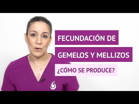 ¿Cómo se produce la fecundación de gemelos y mellizos?