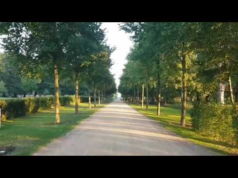 VES MOKER  ŽE PRED ZAJTRKOM - VLOG #92