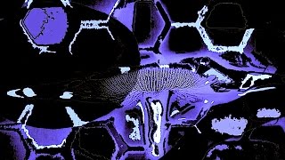 “Cephalopod” Inspired by Mickey Hart and his RAMU!