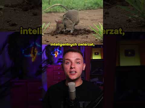 Rats Will Save Many Lives