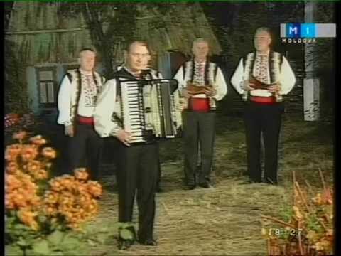 Ion Olaru - Sârba de concert (Orchestra ''Trandafir de la Moldova'').mp4
