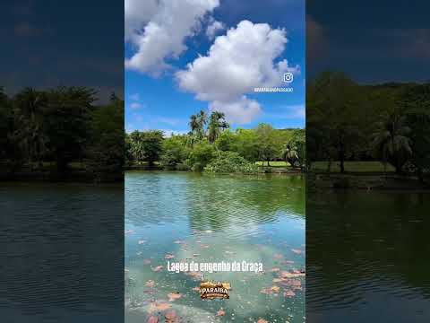Lagoa do engenho da Graça- João Pessoa PB #shorts  #engenho #nordeste #paraibanopassado #fazenda