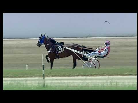 Napoli Trotto 14/05/2021 - 2ª corsa