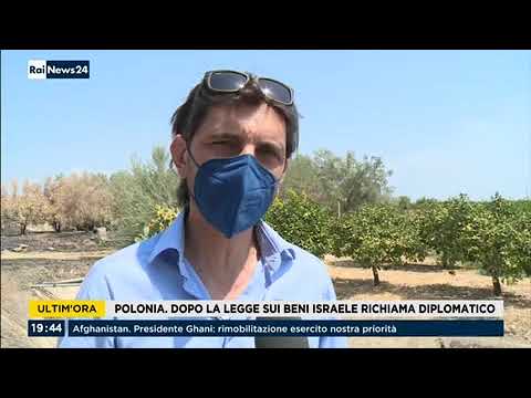 RAI NEWS 24 - Incendi e siccità: aranceti in agonia nella Piana di Catania. Intervento Cia