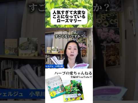 医療ビジネス薬科学科 🌿人気すぎて大変な事になっているローズマリー🌿 #shorts #ハーブ #体質改善