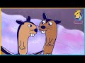 The Story Of The Baby Bison 64 Zoo Lane Full Episode