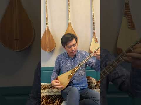 Uyghur musical instrument - Tanbur
