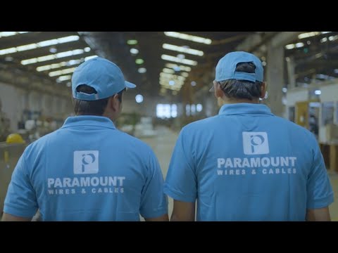 Paramount Power cables