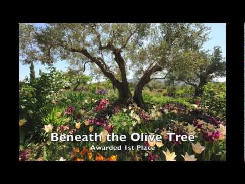 Priva Resuello by "Indio" Figueredo (Venezuela) played by Samantha Muir