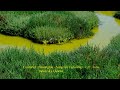 Couturier : Nostalghia - Song For Tarkovsky - 11. Toliu