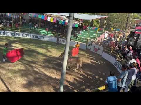 TOREO EN SAN LUIS DEL CARMEN CHALATENANGO 2024