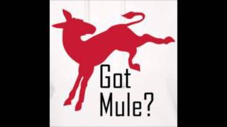 Gov't Mule Rock Me Baby.wmv