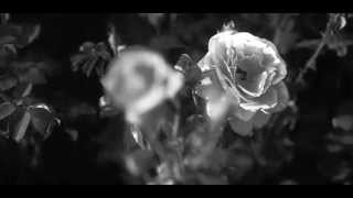 Rat & Co - Vocal Insanity (Official Music Video)