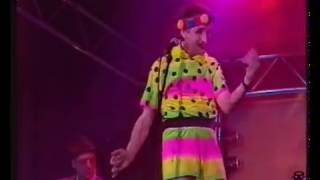 Georg Ringsgwandl live - Gaggerlfidel