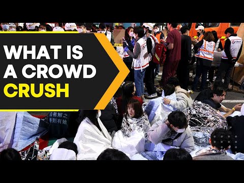Explained | How is a crowd crush different from a stampede? | WION Originals