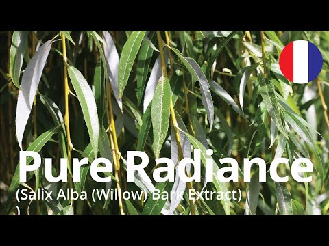 Salix Alba Extract Powder