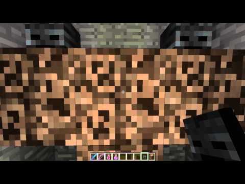 Tips & Tricks With Nooby - Episode 1 - Wither Boss Killing