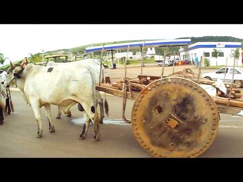 Carro de Boi do Ronaldo Tapira, MG Brasil