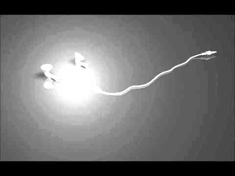 Léa & Ravidson - Sem Bo [2011]