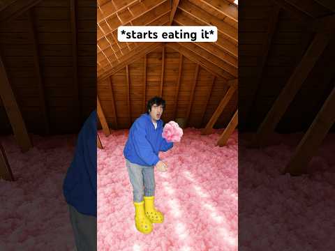 When You Eat The Cotton Candy In The Attic 🤣 #shorts #relatable