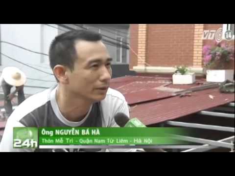 VTC14_Người dân Hà Nội tất bật sửa chữa  nhà cửa sau cơn dông lịch sử