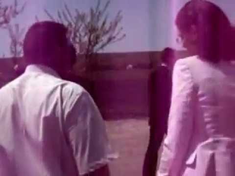 Staff-ul PNL la Suhurlui