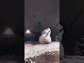 Snow In Winter ️ ️ 88 Tranding Bhoot Bhoot Wala Cartoon