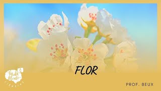 FLOR - Ensino Fundamental