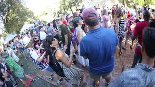 Brave Combo - Hokey Pokey 2018