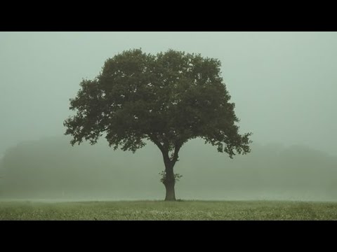 Yafet Tesfaye Yeshi - Eyesus Ayegn (Official Lyrics Video)