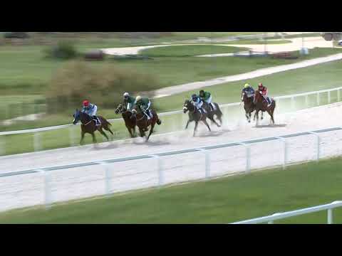 2021.06.13. 01. futam - NYERETLENEK VERSENYE (V.kat.) (szintetikus pálya)