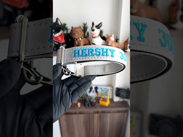 Vídeo relacionado con Ibera Gifts - Collar Perro Personalizado con Nombre para Cachorros o Mascotas Muy Pequeñas, Collar Gato Personalizado, Reflectante, Ajustable De 22 a 30 cm, Seguro y Cómodo (Turquesa, XS Muy pequeño)