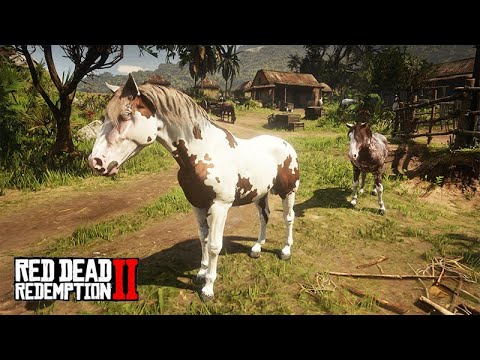 Comprei 4 CAVALOS da raça CRIOULO e uma casinha no BRASIL - Red Dead Redemption 2