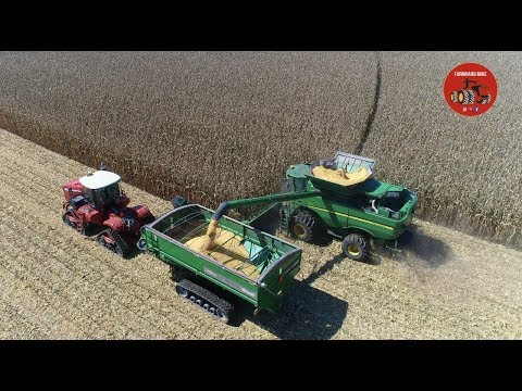 2018 Corn Harvest near Covington Indiana. Video