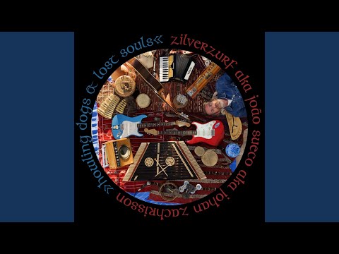 In Search Of A Purpose