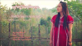 ပျၢ်ကွံာ်ယစုဖိတဂ့ၤ cover