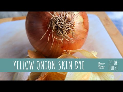 HOW TO MAKE NATURAL DYE WITH YELLOW ONION SKIN | ORGANIC COLOR | ORANGE