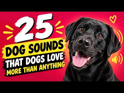 25 DOG Sounds That Dogs Love More Than Anything 🐶❤️