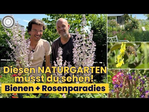 A visit to the bee specialist! How to combine ornamental roses and natural gardens