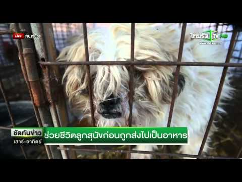ดึงสตริงของโรคสะเก็ดเงิน กระดังงาในโรคสะเก็ดเงิน