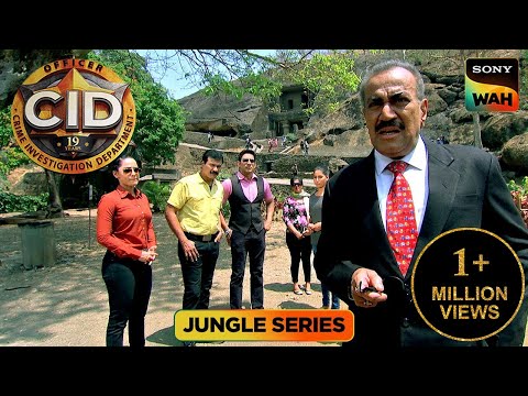 क्या जंगल में छुपी Rain of Fire के राज़ का पता लगा पाएगी CID? | CID |सी.आई.डी. | Jungle Series