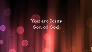 Jesus Son of God ~ Chris Tomlin ~ lyric video
