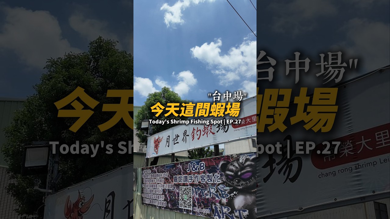 今天這間蝦場EP.27【MLS蝦戰天下】#17shrimp #台湾のエビ釣り #shrimpfishing #새우낚시