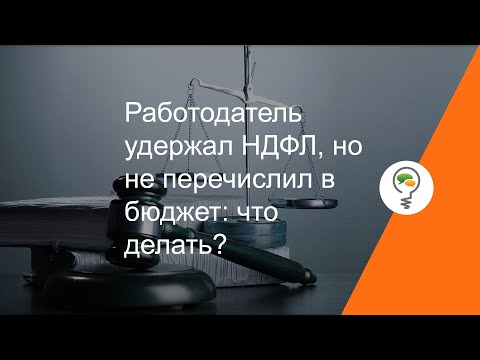 Работодатель удержал НДФЛ, но не перечислил в бюджет: что делать?