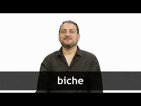 How to pronounce BICHE in French