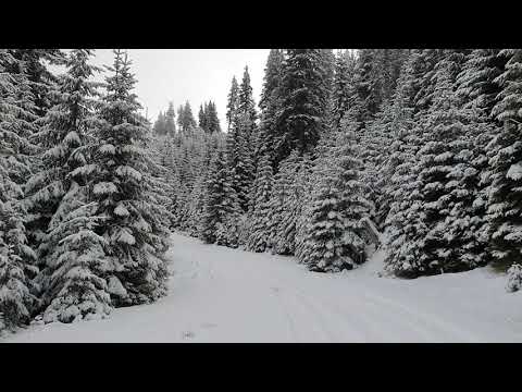 Drumul către Podul Cu Flori la inceput de Decembrie 2021(2)